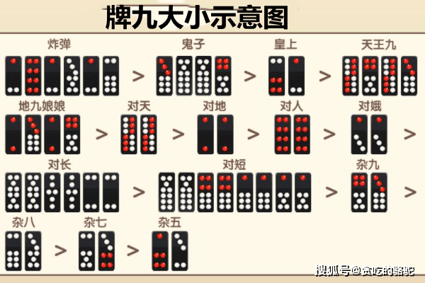 玩家必备攻略！排九牌普通分析仪是真的吗,推荐3个购买渠道