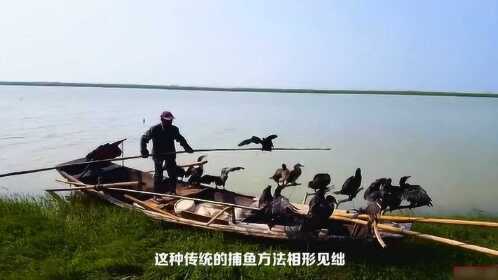 关于！鄱阳翻精抛跑得快确实真的有挂(有没有技巧)