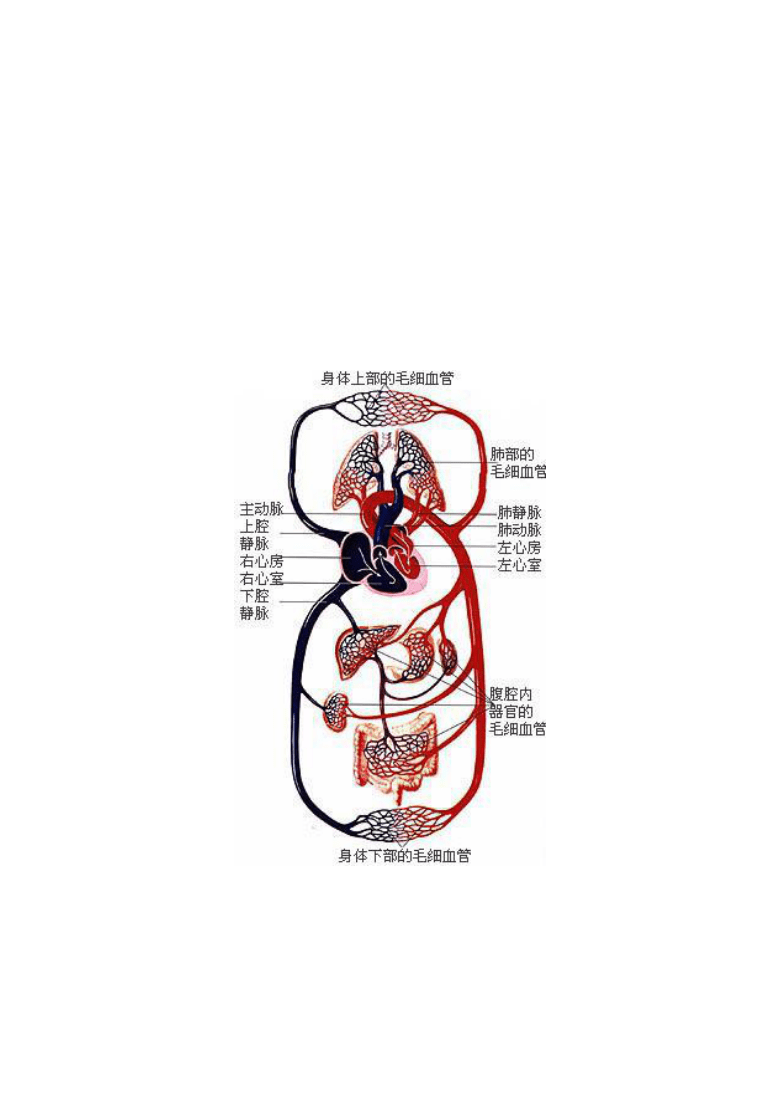 教程辅助“实用可以的芯片扑克牌_《爱问知识人 使用说明》